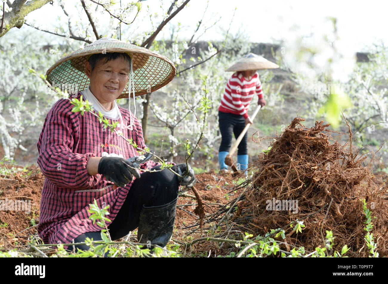 (190321) -- TONGREN, Marzo 21, 2019 (Xinhua) -- gli agricoltori il lavoro nei campi a Hunzhai villaggio di Tongren City, a sud-ovest della Cina di Guizhou, 21 marzo 2019, anche il giorno della 'Chunfen'. Chunfen, che letteralmente significa equinozio di primavera o equinozio di primavera, cade il giorno quando il sole si trova esattamente in corrispondenza della latitudine celeste di zero gradi. (Xinhua/Yang Ying) Foto Stock