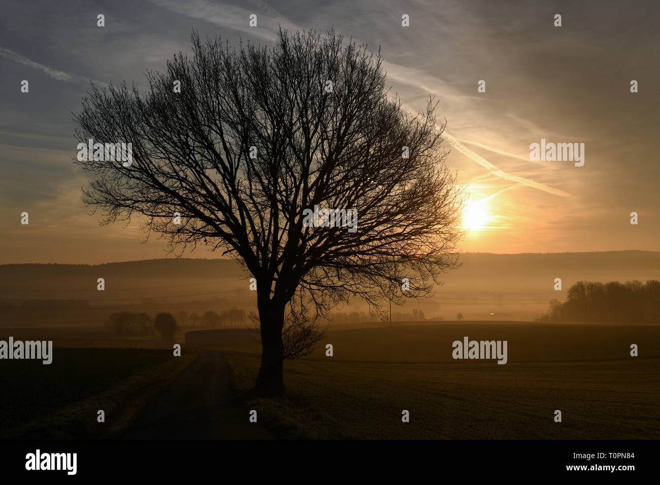 Waldeck, Germania. 22 Mar, 2019. Le scie di condensazione vengono visualizzati all'alba sul Waldecker Land. Credito: Uwe Zucchi/dpa/Alamy Live News Foto Stock