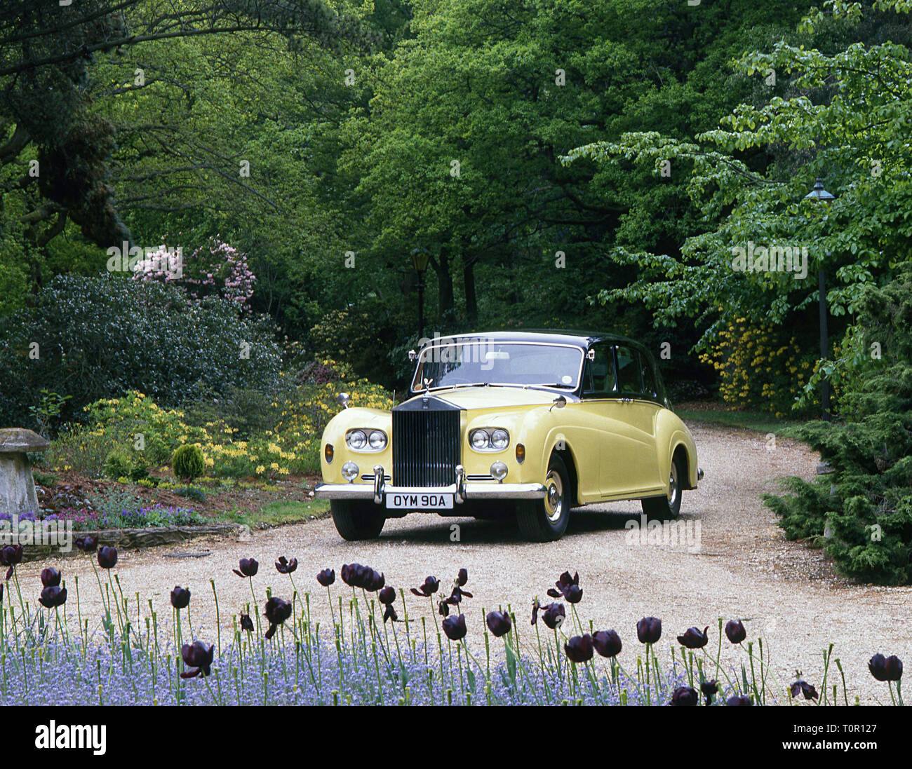 1963 Rolls - Royce Phantom V Foto Stock