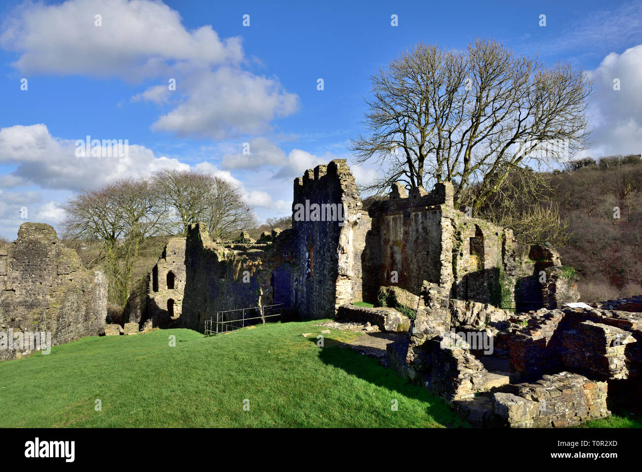 Rovine del castello di Okehampton, Devon, Regno Unito Foto Stock