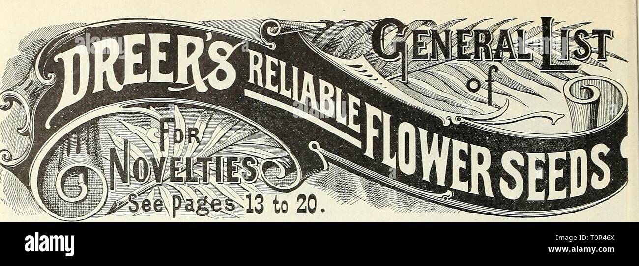 Dreer's garden prenota 1905 Dreer's garden prenota : 1905 dreersgardenbook1905henr Anno: 1905 Il nostro elenco è stato attentamente rivisto e tutte le varietà scadente scartato. Per la comodità dei nostri clienti un riempimento di ordini, è necessario soltanto in ordine a dare il numero di pacchetti ha voluto e il corrispondente catalogo n, cioè: 1 pkt. 1010, 10 cts.; 3 le infrastrutture PKI. 1020,30 cts., significa uno pacliet Abutilon, mi.sso, 10 cts.; 3 pacchetti di acacia, tutti i semi di fiori vengono inviati gratuitamente per posta a prezzi dato. Sebbene noi non ofifer premi, possiamo inviare invariabilmente '• extra '' con ogni ca&GT;h ordinare amounl Foto Stock