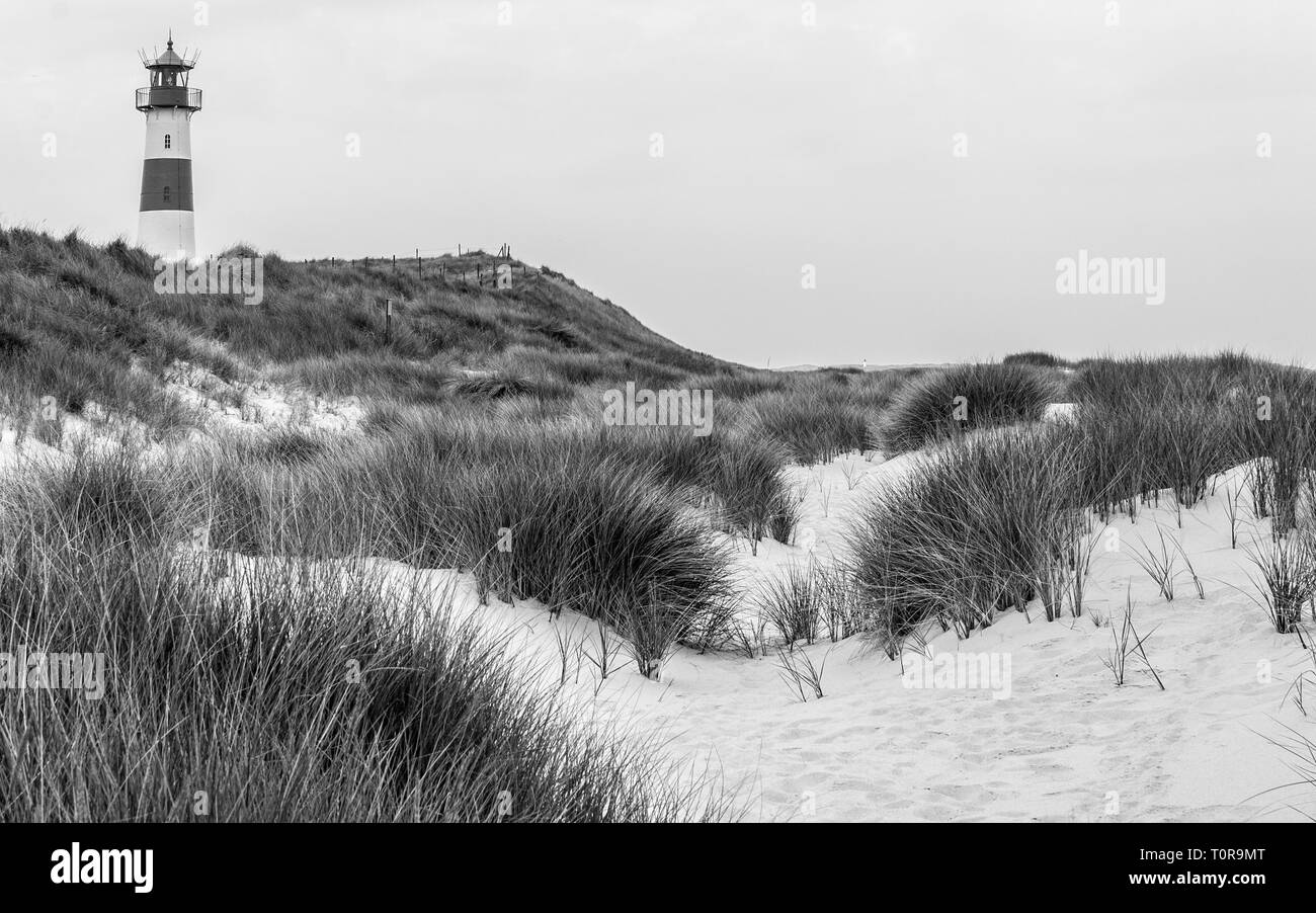 Vista di contrasto sul faro List-Ost all'interno di un paesaggio di dune con erba e sabbia in un giorno chiaro. Situato nell'elenco auf Sylt, Schleswig-Holstein, Germania Foto Stock