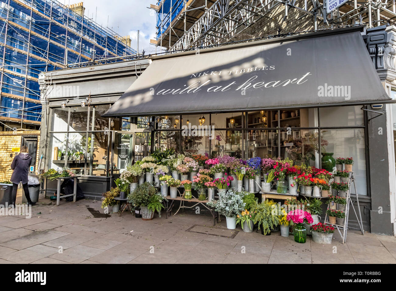 Nikki Tibles Wild at Heart fiorista negozio in Pimlico Road, Londra, Regno Unito Foto Stock