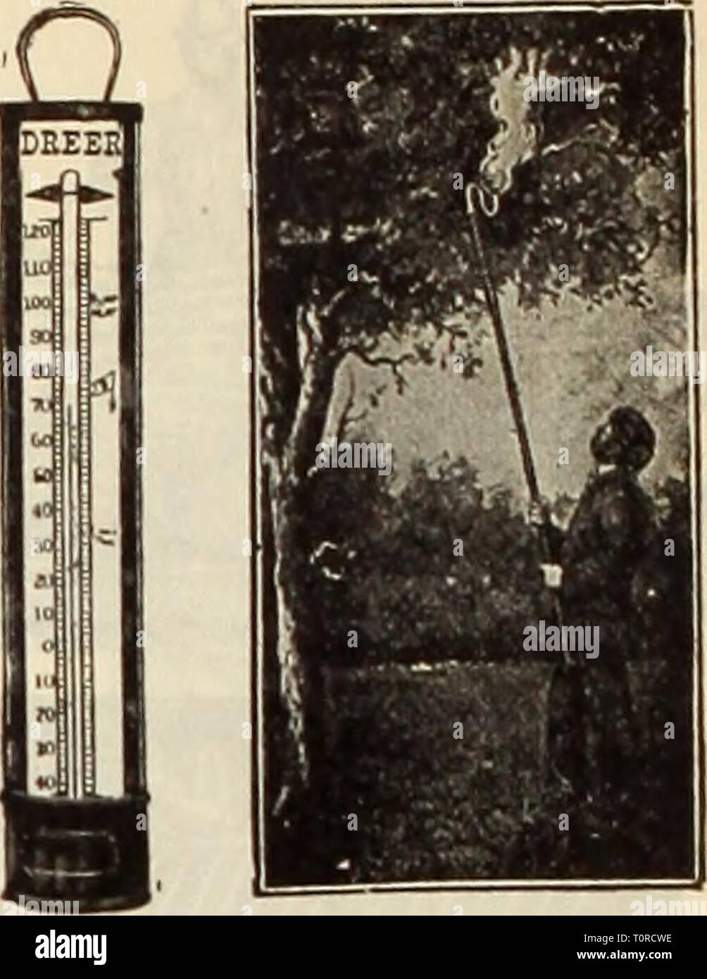 Dreer del catalogo autunno, 1913 (1913) del Dreer catalogo autunno 1913 dreersautumncata1913henr Anno: 1913 Shlf- Coppbr. Rbcistbring. Asbbstos Torcia Caterpillar, Auto Pompa a spruzzo (nell opera della pompa a spruzzo AUTO-spray. Contiene 4 galloni ; facilmente trasportabile ; un pompaggio spray saranno dieci minuti (ialvanizcd ferro, â€4,50; ottone.. 6 75 montato con Auto ugello Pop, extra 1 00 siringa a spruzzo atomizzatore. Per insetticidi. Stagno, piccola, 3s cts ; grande, 50 cis.; ottone, piccola, 50 cts.: grandi, 1,00; automatico di aria compressa, in ottone 1 25 siringhe. Ottone, No. Un flusso e spray, J2.25; n. C, flusso e spray, J3 50; n. Foto Stock