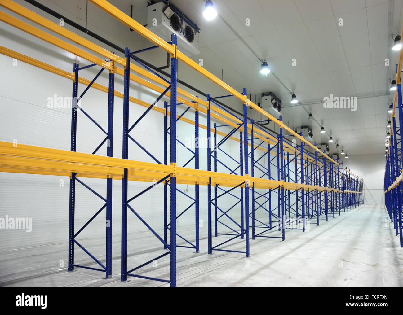 Grandi di nuova costruzione di magazzino con scaffali in acciaio Foto Stock