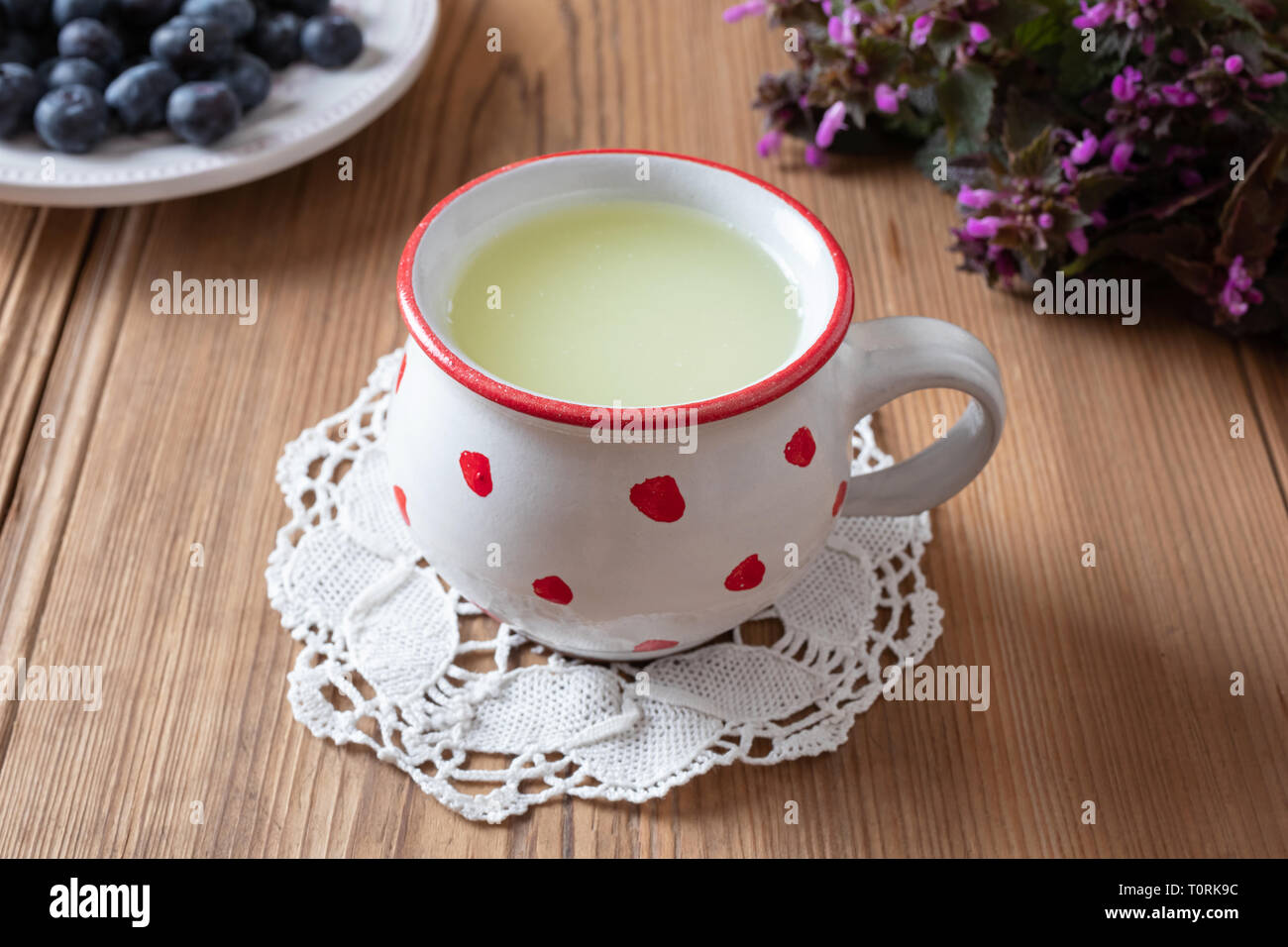 Il siero di latte fresco in una tazza con mirtilli e viola dead-ortiche in background Foto Stock