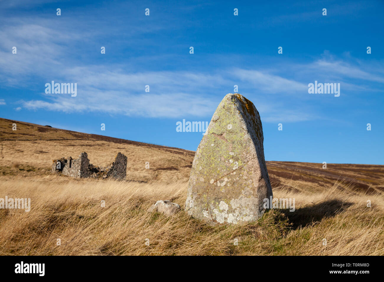Pietra in piedi vicino al serbatoio di Whiteadder East Lothian, Scozia, Regno Unito Foto Stock