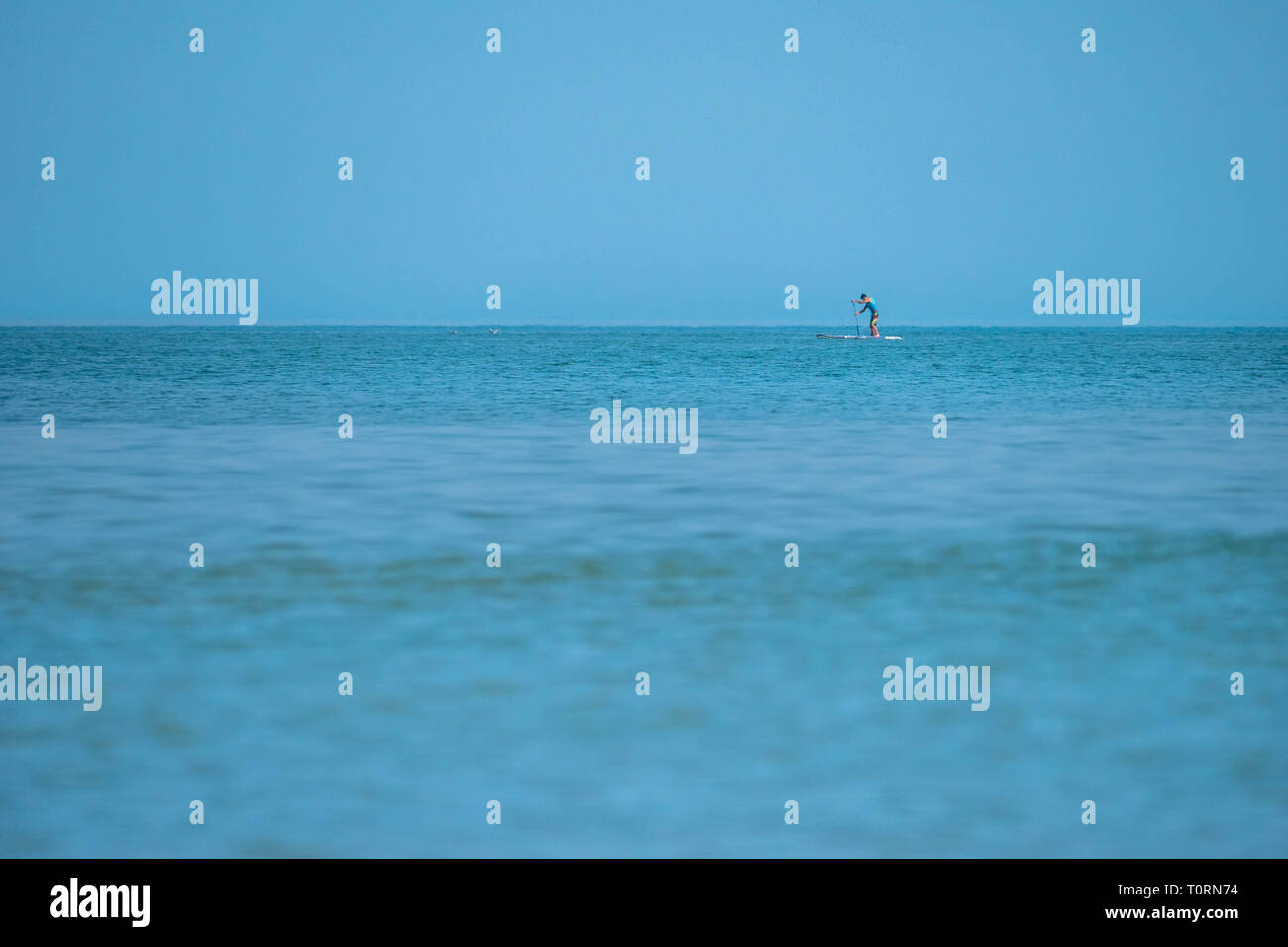 Maschio singolo su uno stand up paddle board leggermente al largo di una spiaggia nel nord della Francia Foto Stock