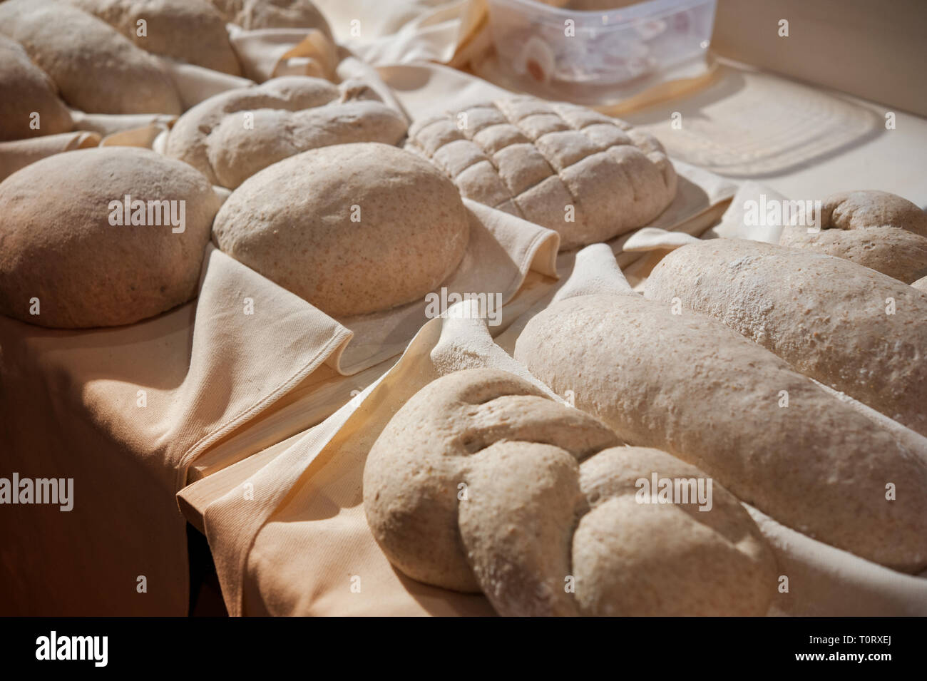 Processo di lievitazione. Diversi tipi di pasta di pane su un tavolo e pronto per essere cotto al forno. Foto Stock