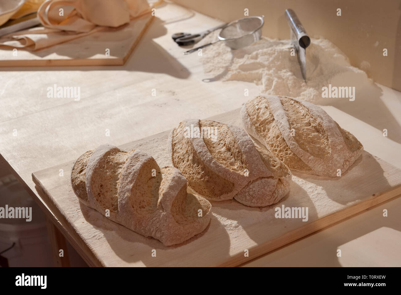 Pane lievitazione. tre pani su un tavolo e pronto per essere cotto al forno. Foto Stock