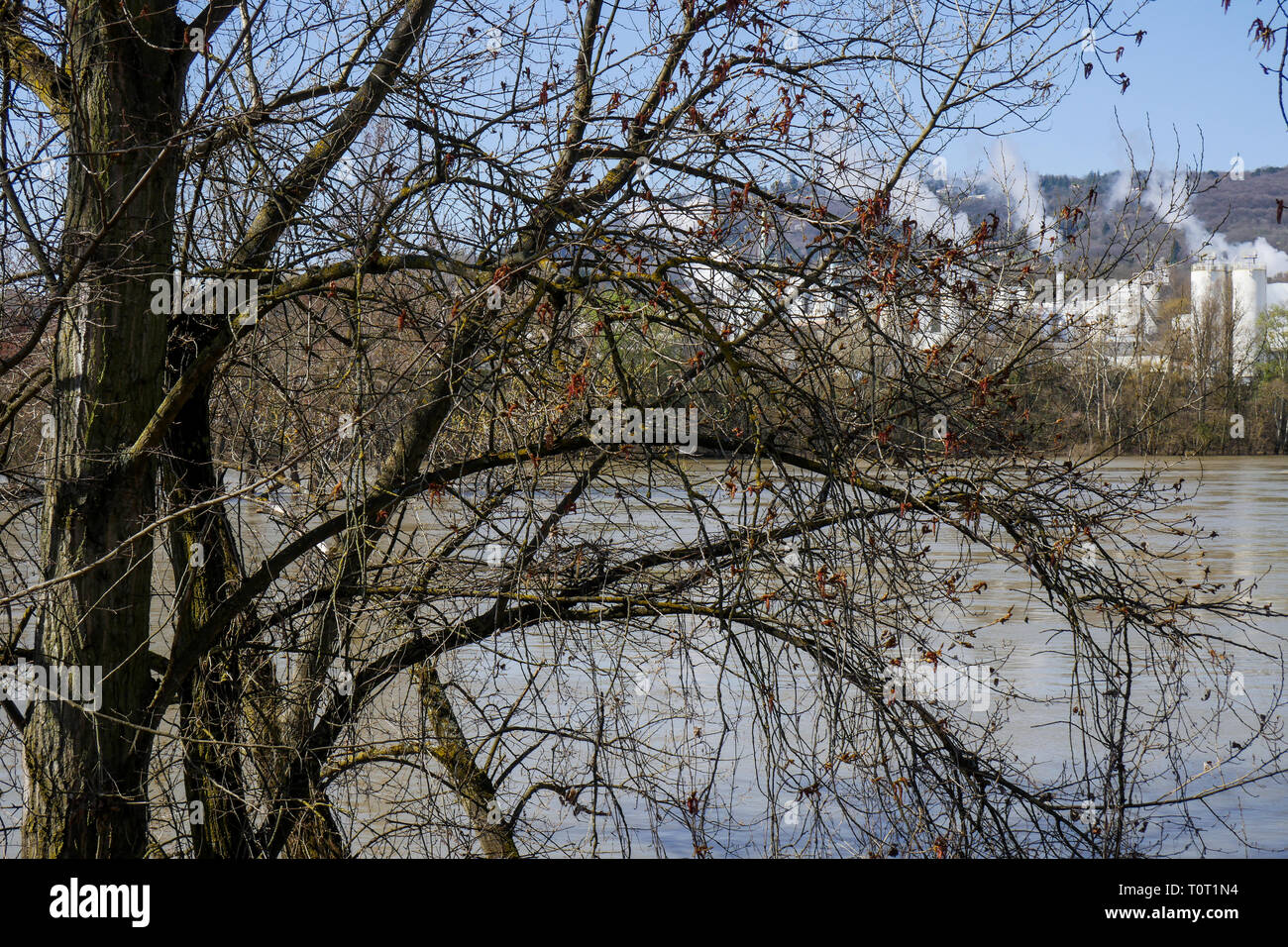 Solvay impianto chimico, Collonge-au Mont d'or, Rhone, Francia Foto Stock