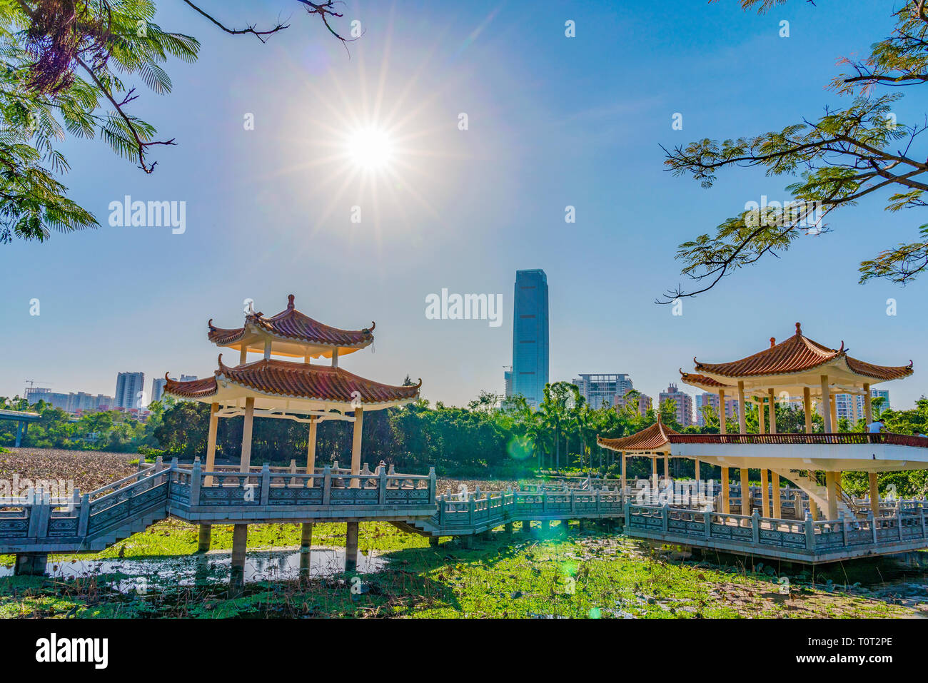 Cinese tradizionale i padiglioni Honghu Park Foto Stock