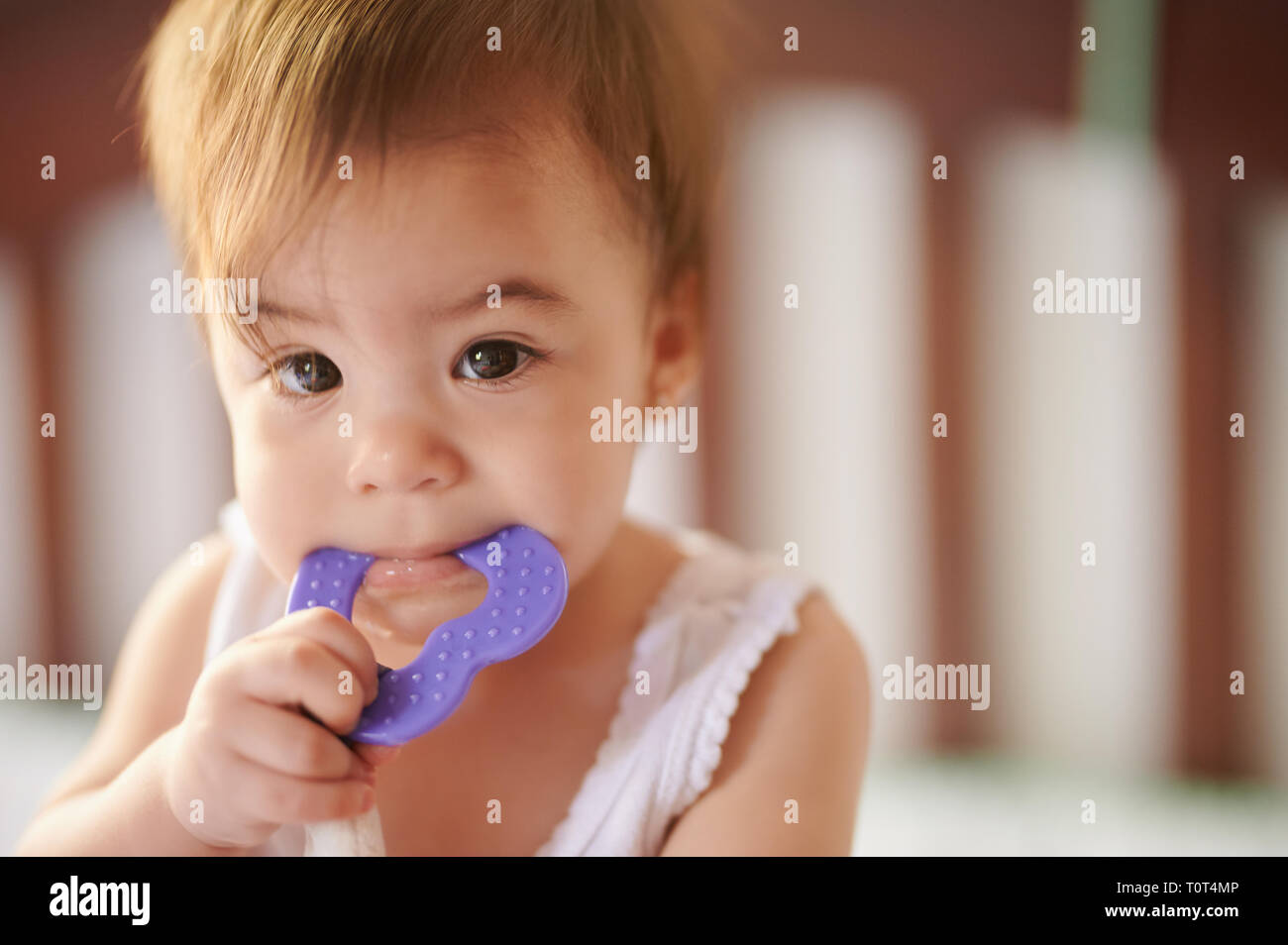 Baby girl aspirare giocattolo. Denti in crescita in capretto piccolo Foto Stock