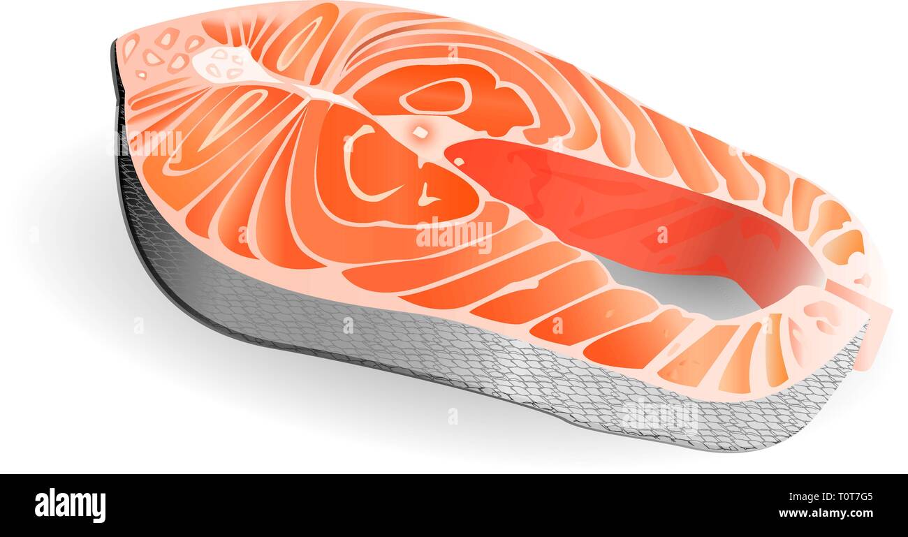 Bistecca di salmone illustrazione vettoriale. Pezzo di pesce rosso giacenti su sfondo bianco. Realistica di pesce crudo. Illustrazione Vettoriale