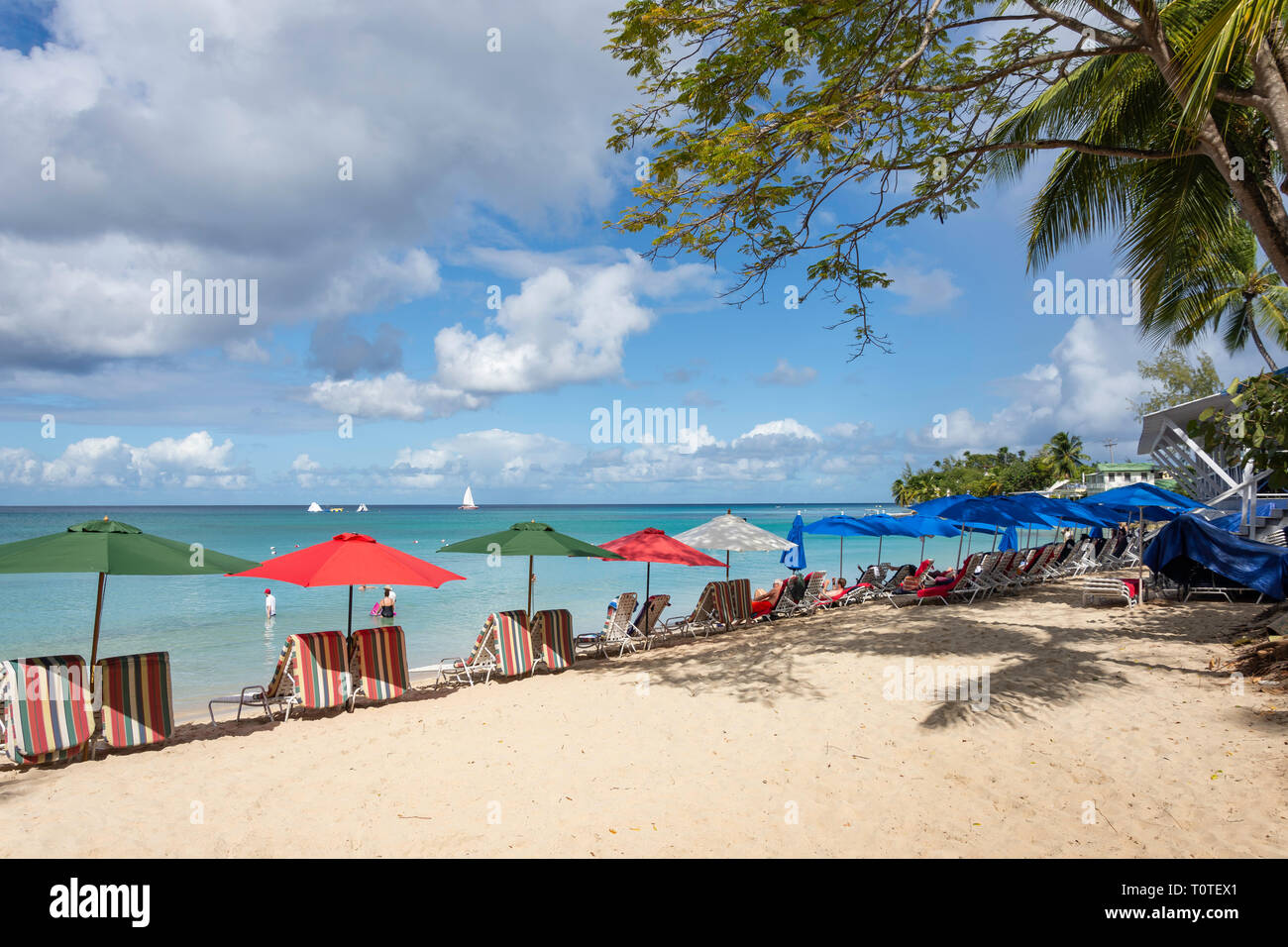 Vista della spiaggia, Mullins Bay, St Peter Parish, Barbados, Piccole Antille, dei Caraibi Foto Stock
