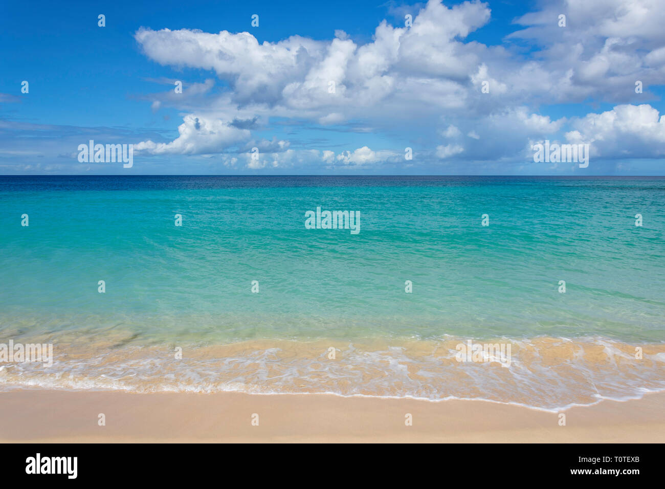 Bordo d'acqua su Alleynes Bay Beach, Holetown, St James's Parish, Barbados, Piccole Antille, dei Caraibi Foto Stock