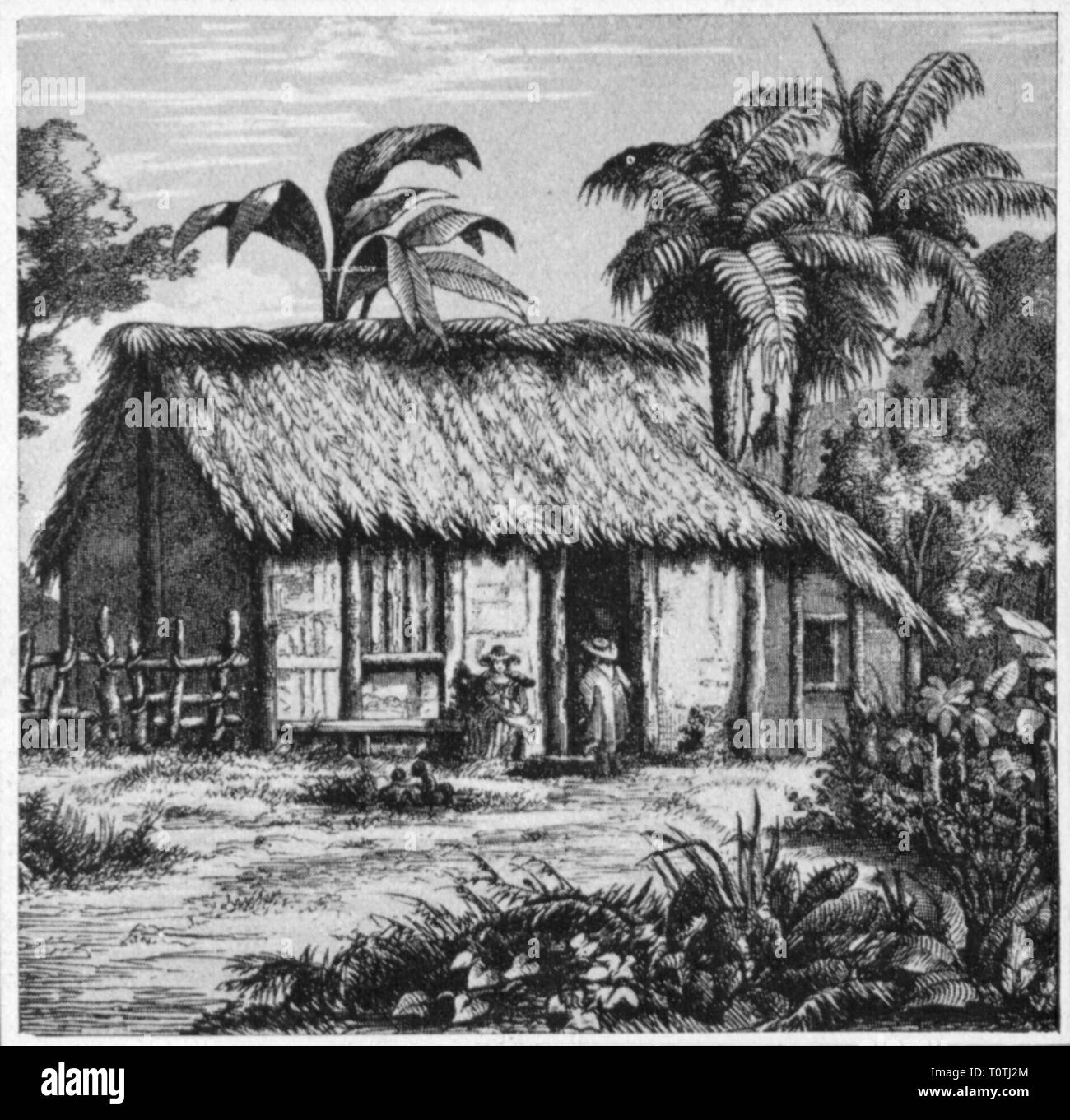 Geografia / viaggi storico, Brasile, colonizzazione, finito di capanna di un colono, litografia, circa 1866, Additional-Rights-Clearance-Info-Not-Available Foto Stock