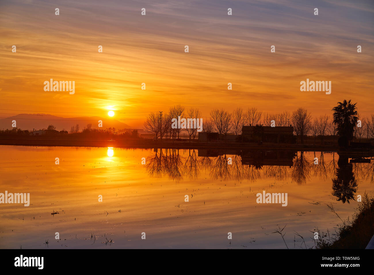 Delta del Ebro Ebre tramonto in Deltebre di Tarragona in Catalogna SPAGNA Foto Stock