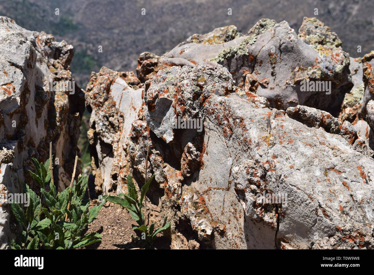 Viste dall'alto di Sandia Peak in Albuquerque, NM Foto Stock