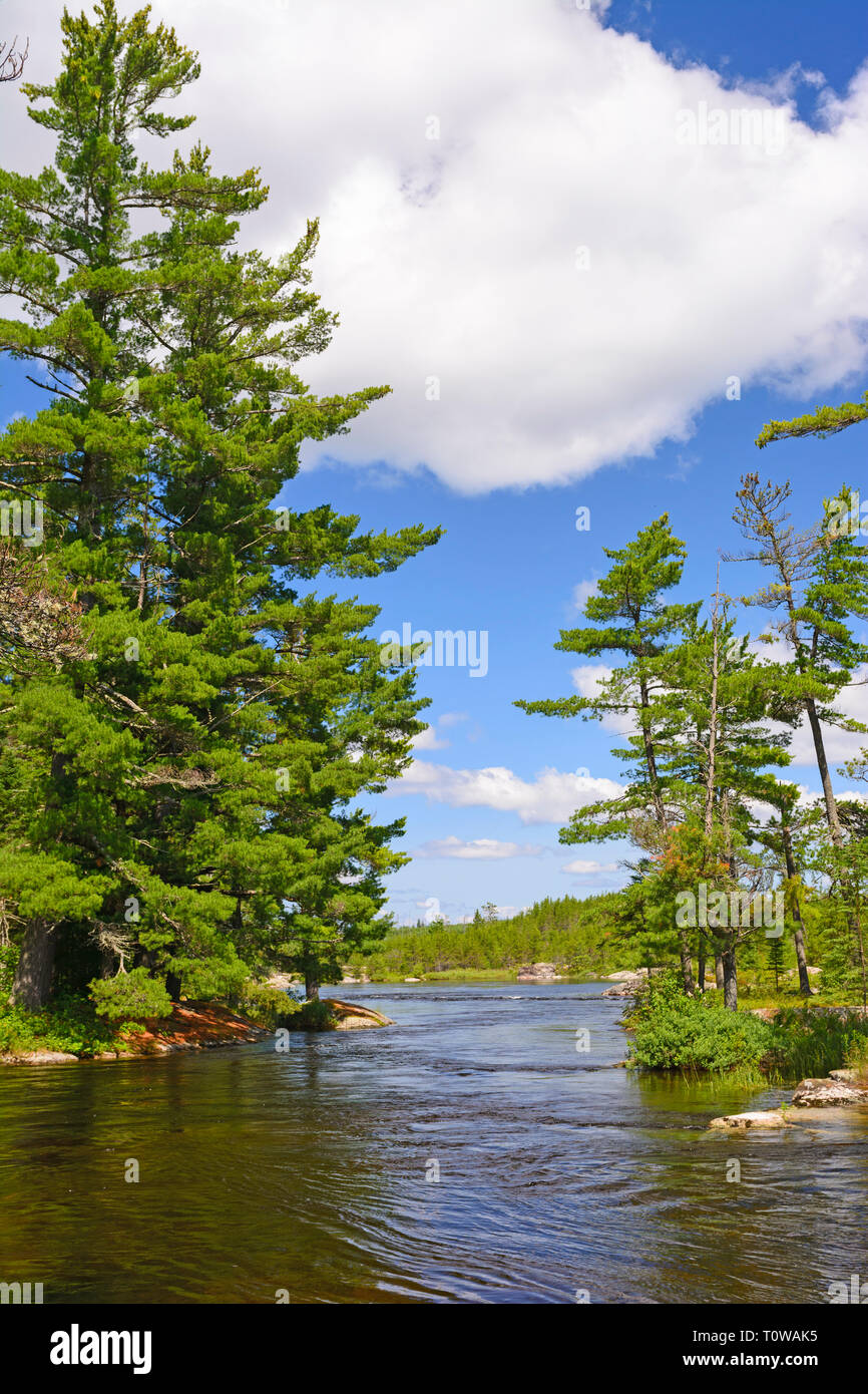 Canale stretto nella catena cade in Quetico Provincial Park Foto Stock