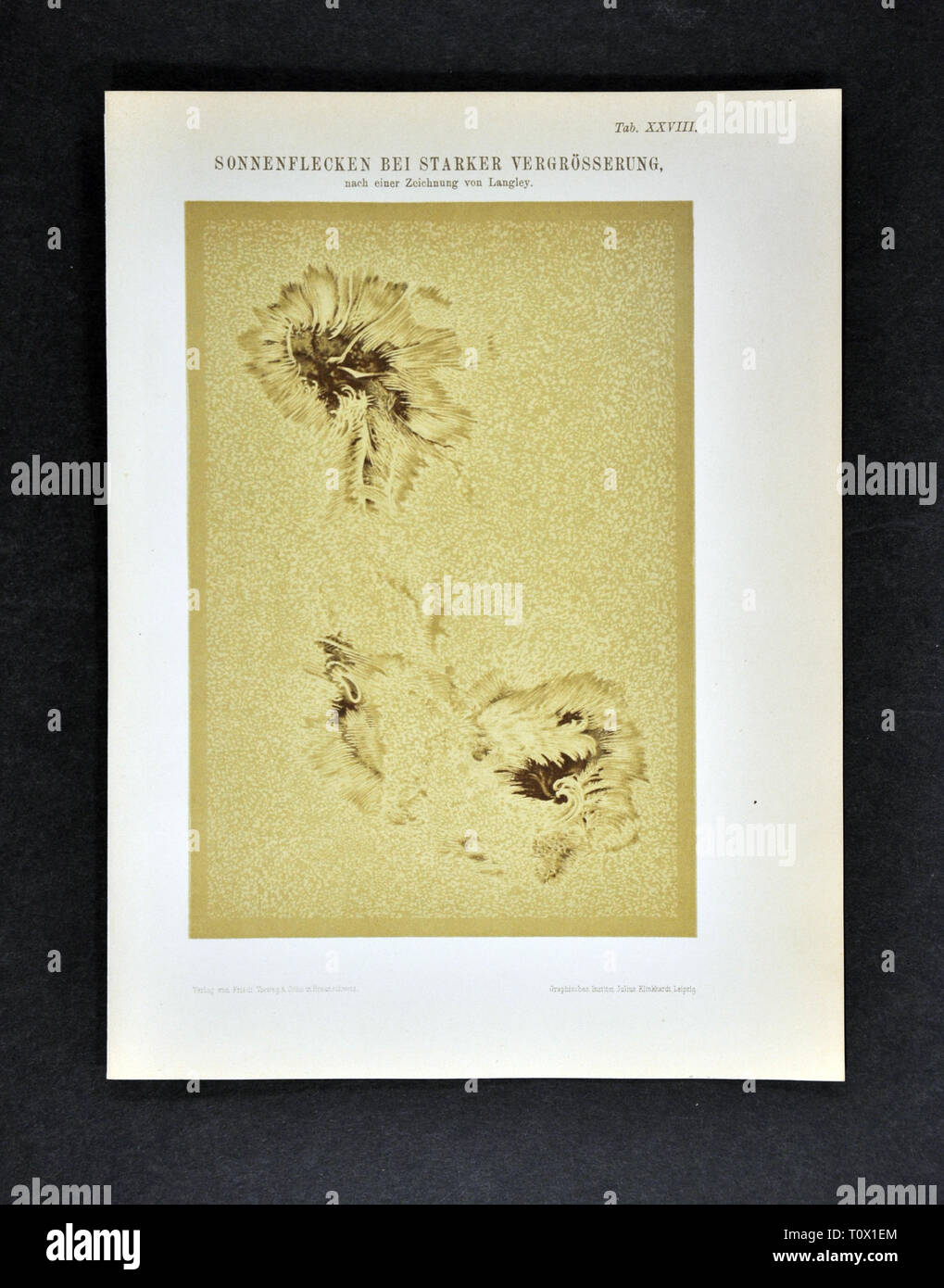 1894 Muller Astronomia Print di solare macchie solari sul sole Foto Stock