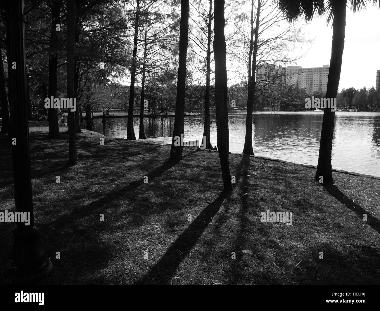 Natura mozzafiato nel mezzo del parco di Orlando, Florida Foto Stock