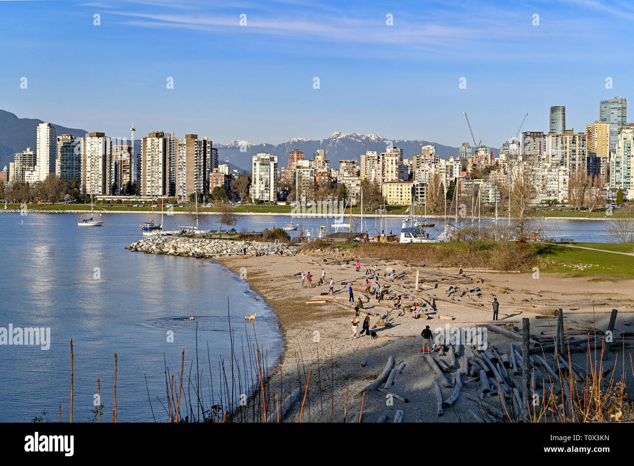 Hadden Park Beach, ufficiale cane off-guinzaglio area, Vancouver, British Columbia, Canada Foto Stock