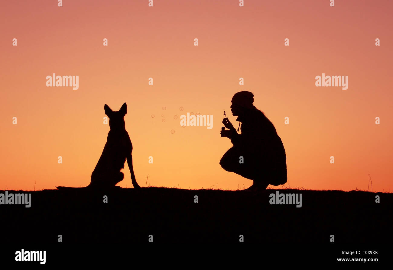 Sagome ragazza e cane al tramonto, ragazza soffia bolle, incredibile tramonto, pastore belga Malinois Foto Stock