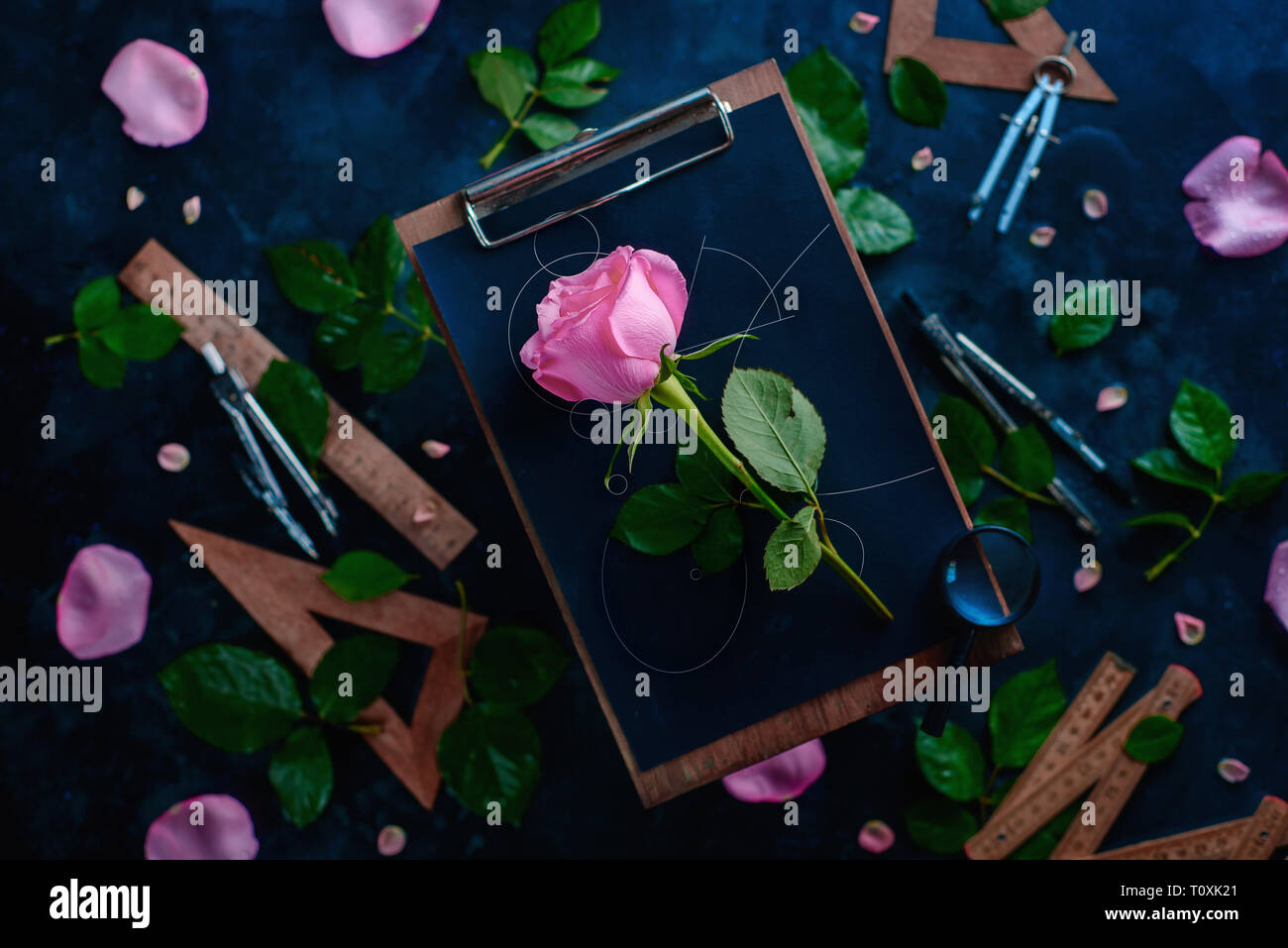 Fiori di Rose con blueprint linee su una tavola di legno appunti con matite, righelli e compassi intorno a. La natura e la geometria piana concettuale lay Foto Stock