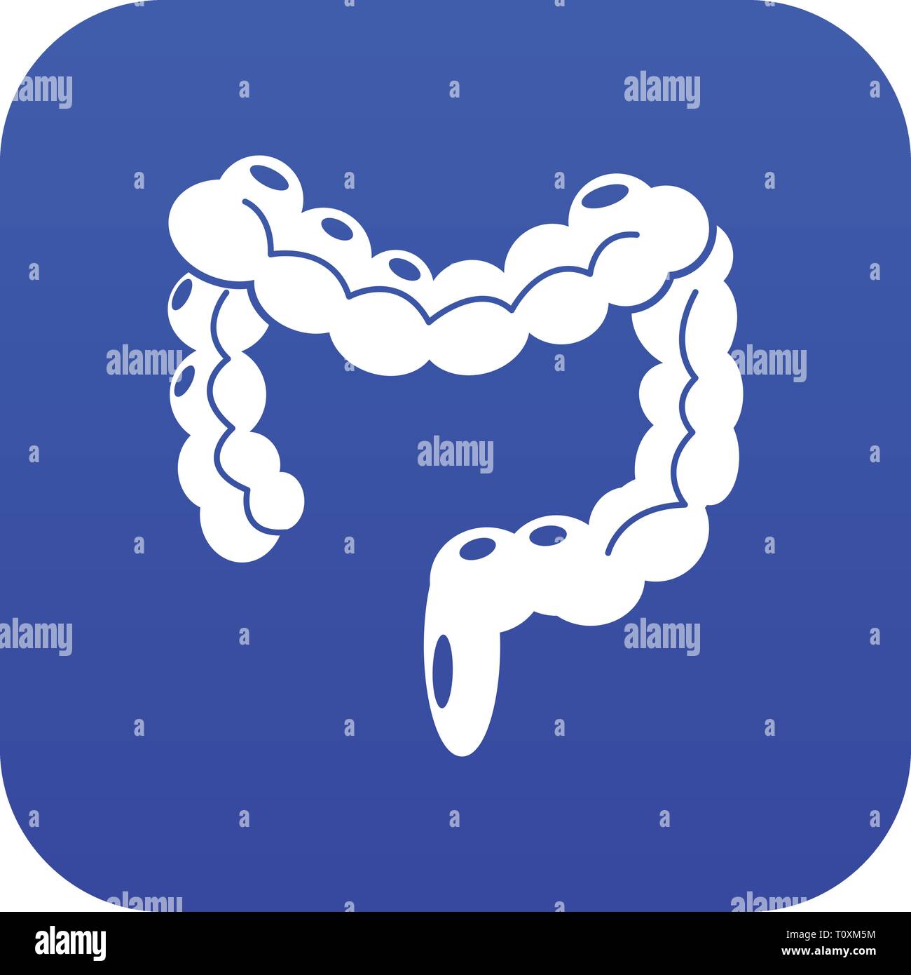 Human intestino crasso icona vettore blu Illustrazione Vettoriale