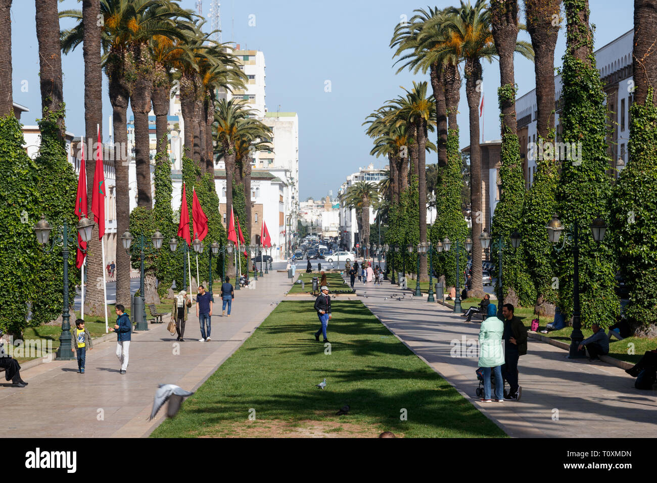 Vista del Avenue Mohammed V con alberi di palma e da persone non identificate in una giornata di sole. Rabat, Marocco. Foto Stock