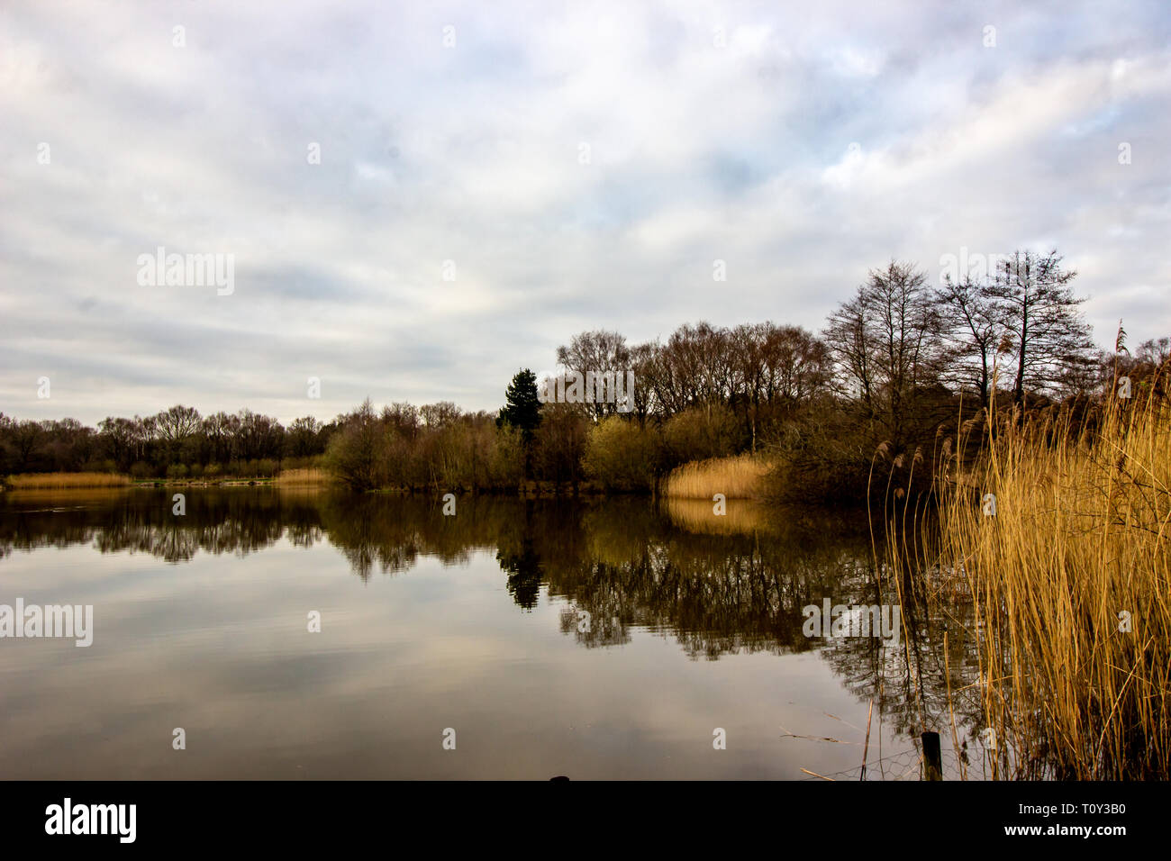 Nice Uk meteo, bella passeggiata nel pomeriggio nel parco pubblico con un piccolo lago chiamato Lindow comune in Wilmslow, Cheshire Foto Stock