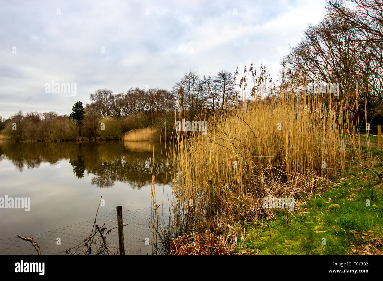 Nice Uk meteo, bella passeggiata nel pomeriggio nel parco pubblico con un piccolo lago chiamato Lindow comune in Wilmslow, Cheshire Foto Stock