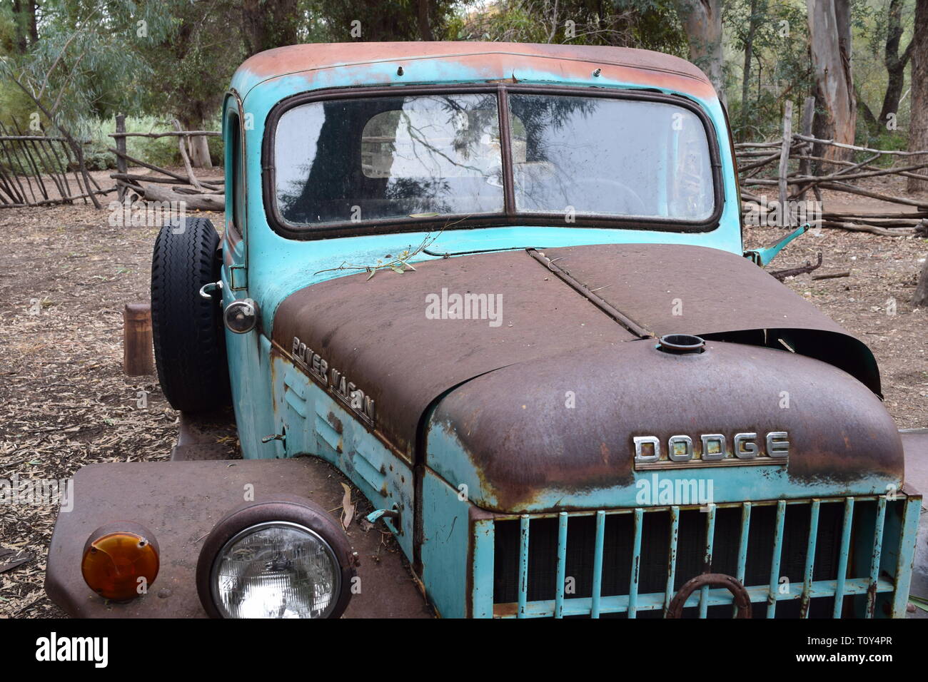 Un vecchio Dodge Power Wagon carrello si fonde con la terra e supporta anche un cactus in crescita nel letto del carrello Foto Stock