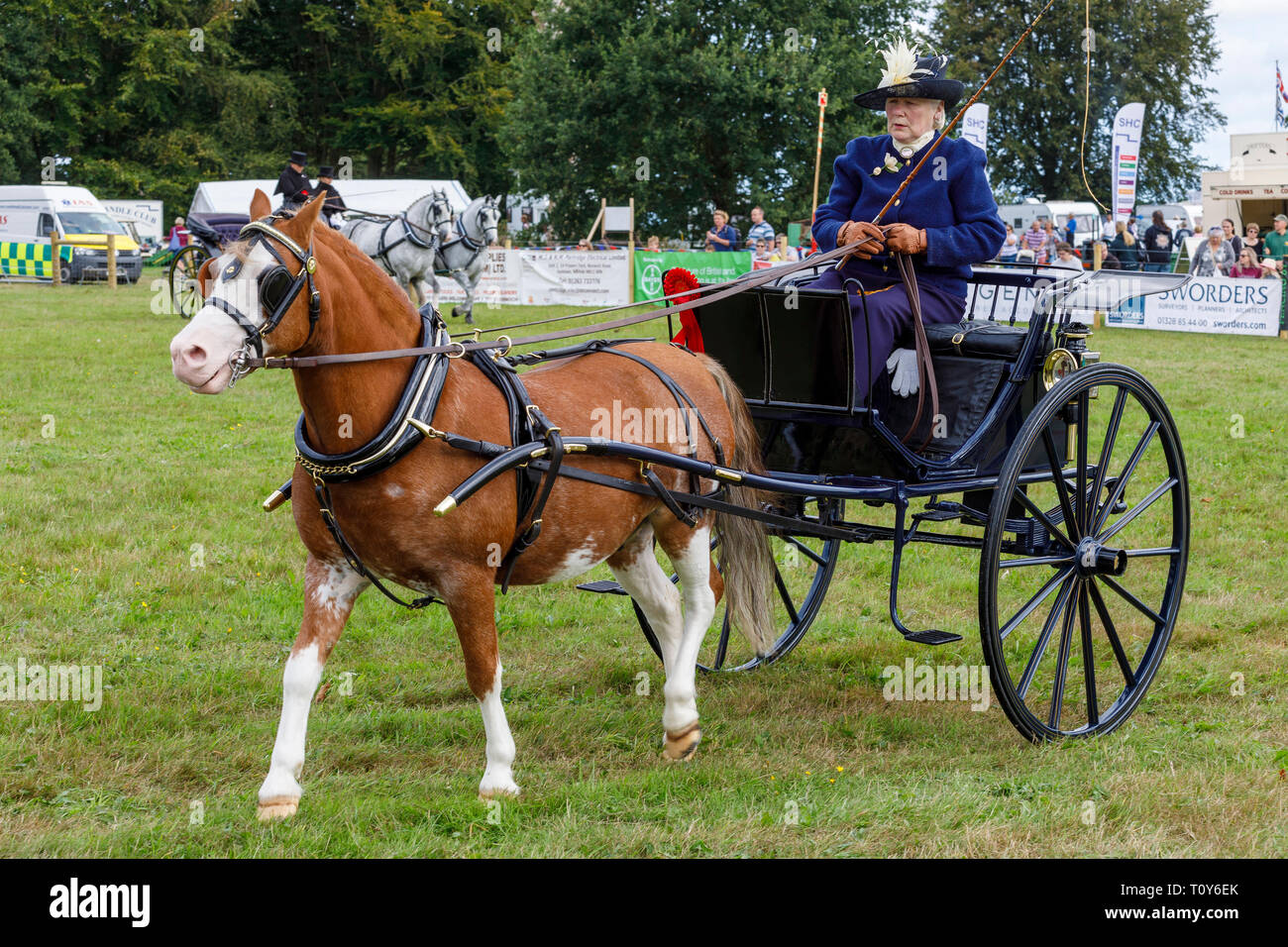 Pony trap e i display e la concorrenza a 2018 Aylsham spettacolo agricolo, Norfolk, Regno Unito. Foto Stock