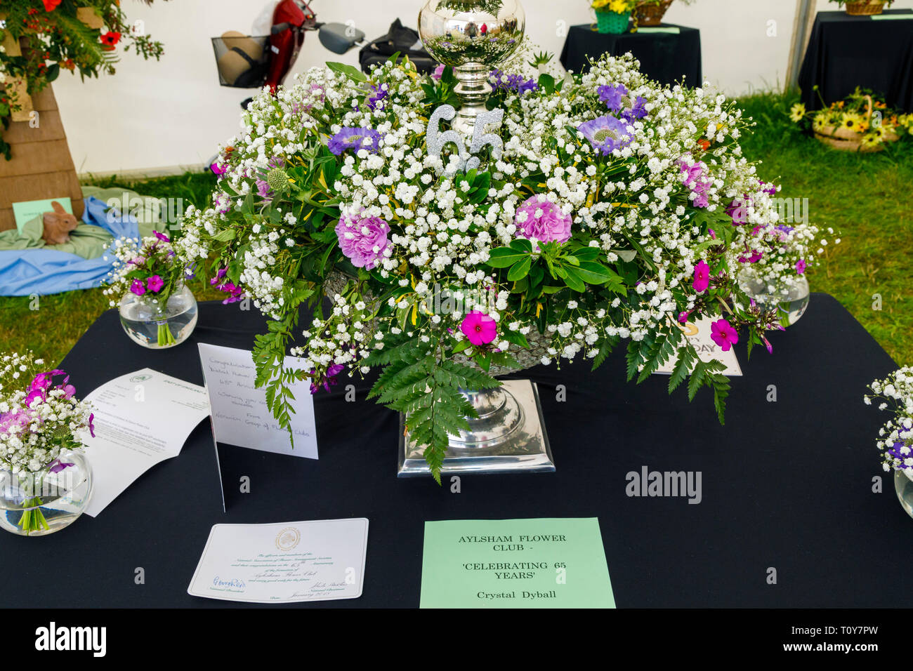Aylsham Club di fiori in mostra al 2018 Aylsham spettacolo agricolo, Norfolk, Regno Unito. Foto Stock