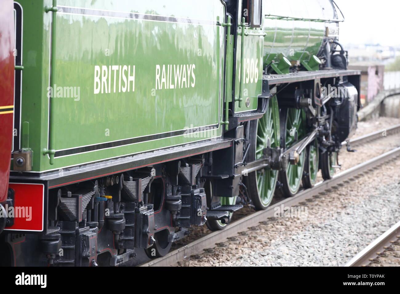 Rainham, Regno Unito. 23 marzo, 2019. Mayflower attraversando il paese di Essex lato e fermandosi a Rainham Essex stazione. Il Mayflower 61306 è uno dei due sopravvissuti di B1 locomotive classe fu costruito per il London & North Eastern Railway, 61306 Mayflower è uno dei due sopravvissuti di B1 classe locomotive. Il B1's erano concepiti come il traffico misto di locomotori in grado di tirare express treni passeggeri nonché il traffico merci. Come potente, andare ovunque i motori, il B1's ha lavorato in tutta la maggior parte del Regno Unito della rete ferroviaria da East Anglia in Scozia. Credit: Azione Foto Sport/Alamy Live News Foto Stock