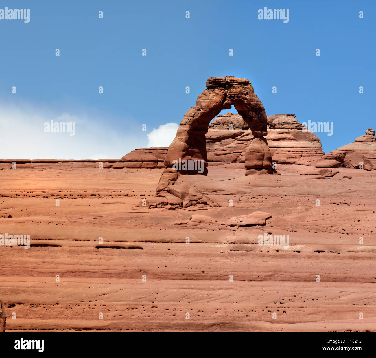 Delicate Arch, Arches National Park nello Utah, America. Foto Stock