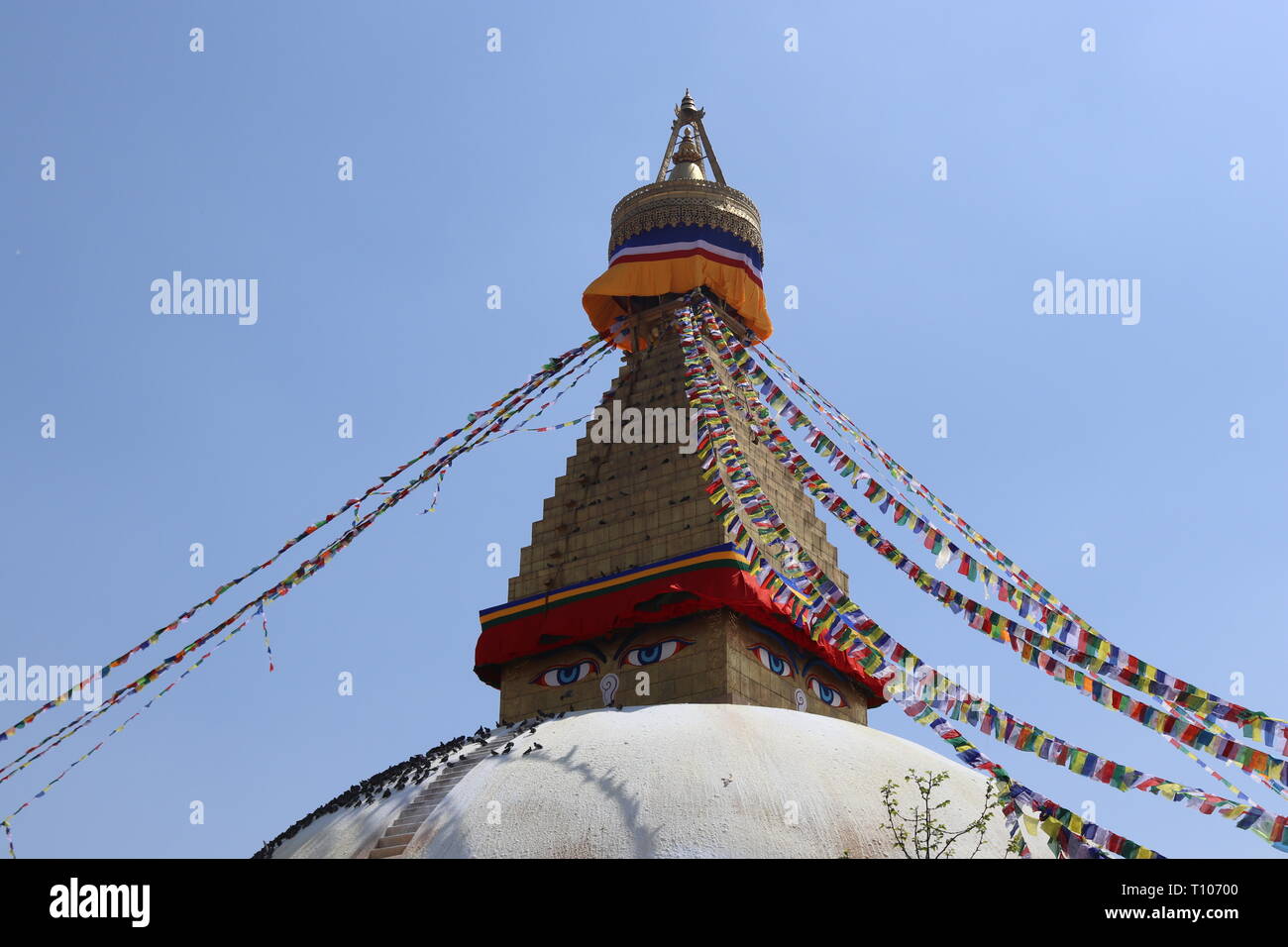 Boudhanath, chiamato anche Khāsa Chaitya, Sito Patrimonio Mondiale dell'UNESCO, Kathmandu, Nepal Foto Stock