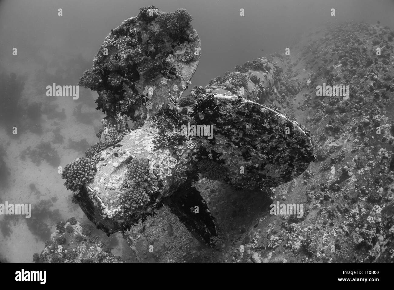 Il sunken Salem Express relitto in Egitto Africa Foto Stock