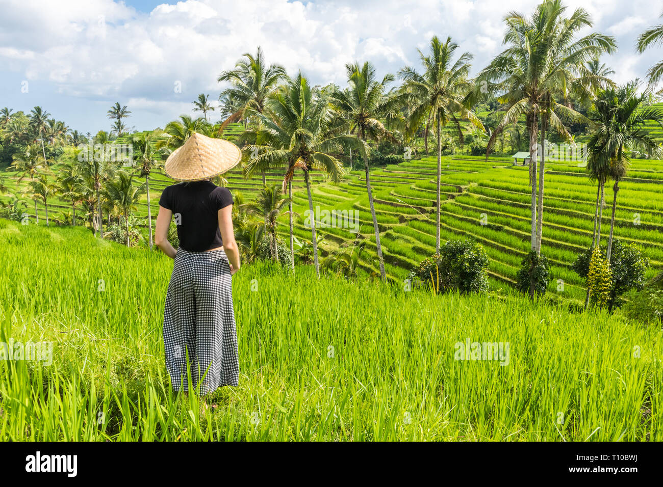 Alla moda rilassato caucasian turista femminile che indossa il piccolo zaino e tradizionali asiatici paddy hat guardando bella verdi campi di riso e Foto Stock