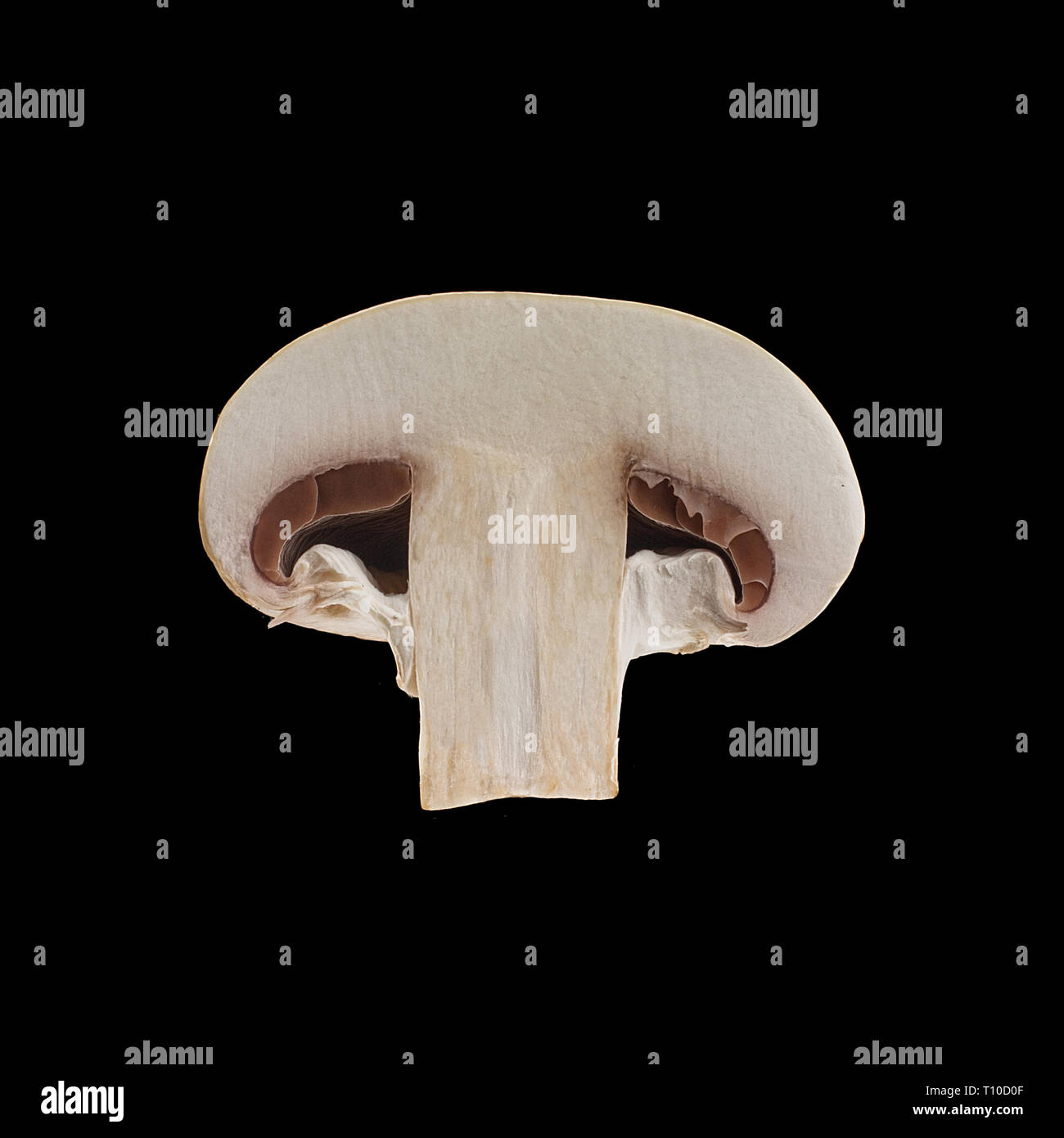 Vista ravvicinata di due isolati a fette champignon marrone su sfondo nero. Foto Stock