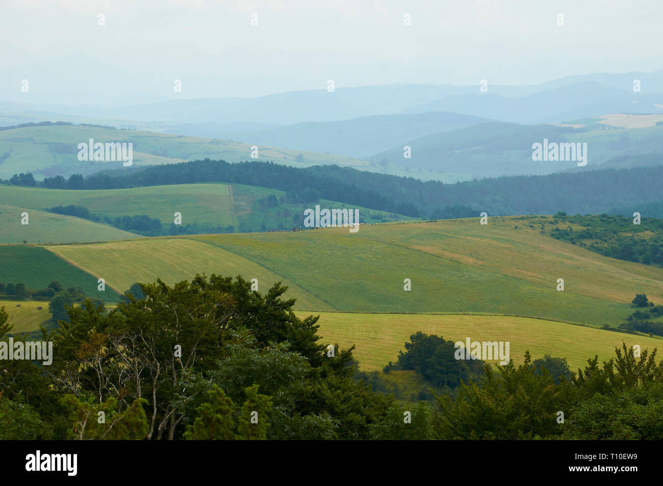Vista panoramica di verdi pascoli e boschi da San Francisco hill a SL-NA 50 trail (Hiriberri, Villanueva de Aezkoa, Navarra, Spagna) Foto Stock