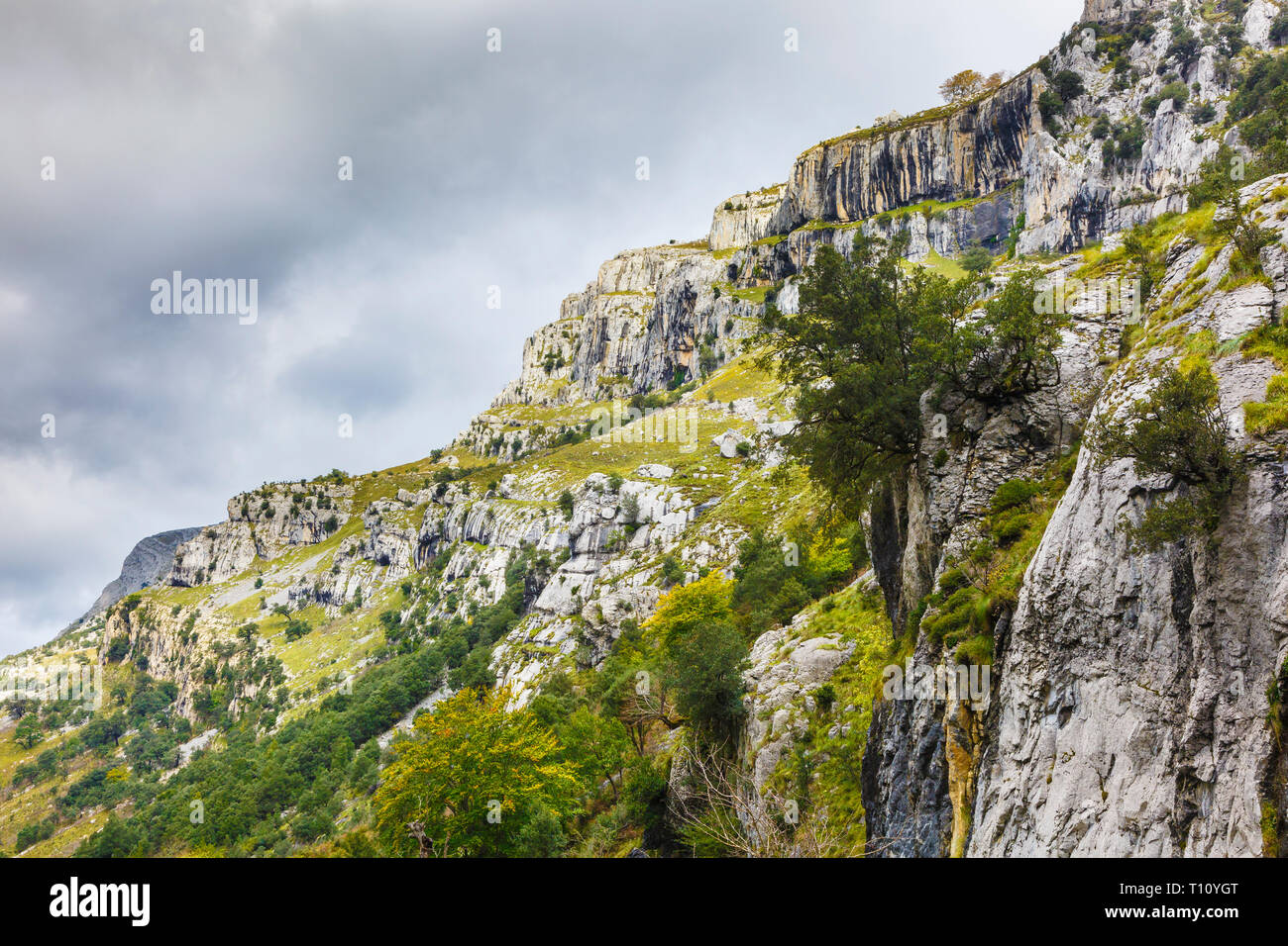 Paesaggio di montagna. Collados del motivo del parco naturale. Cantabria, Spagna, Europa. Foto Stock