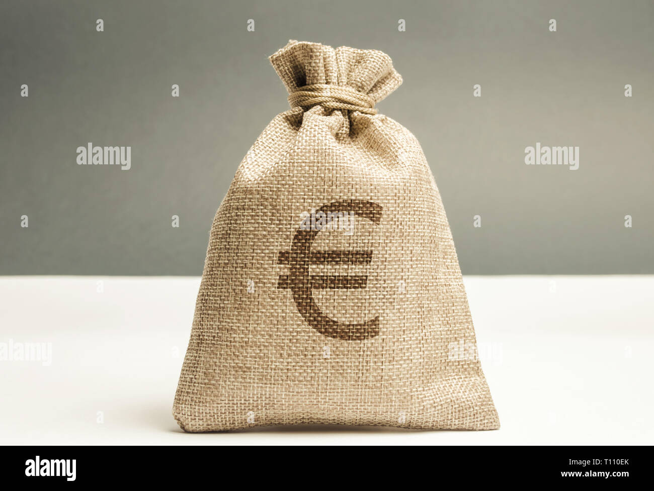 Sacco di denaro con il segno dell'euro. La famiglia o la società concetto di bilancio. Reddito e profitto. L'accumulo di capitale. Risparmio salariale. Il pagamento della pensione. Cash s Foto Stock