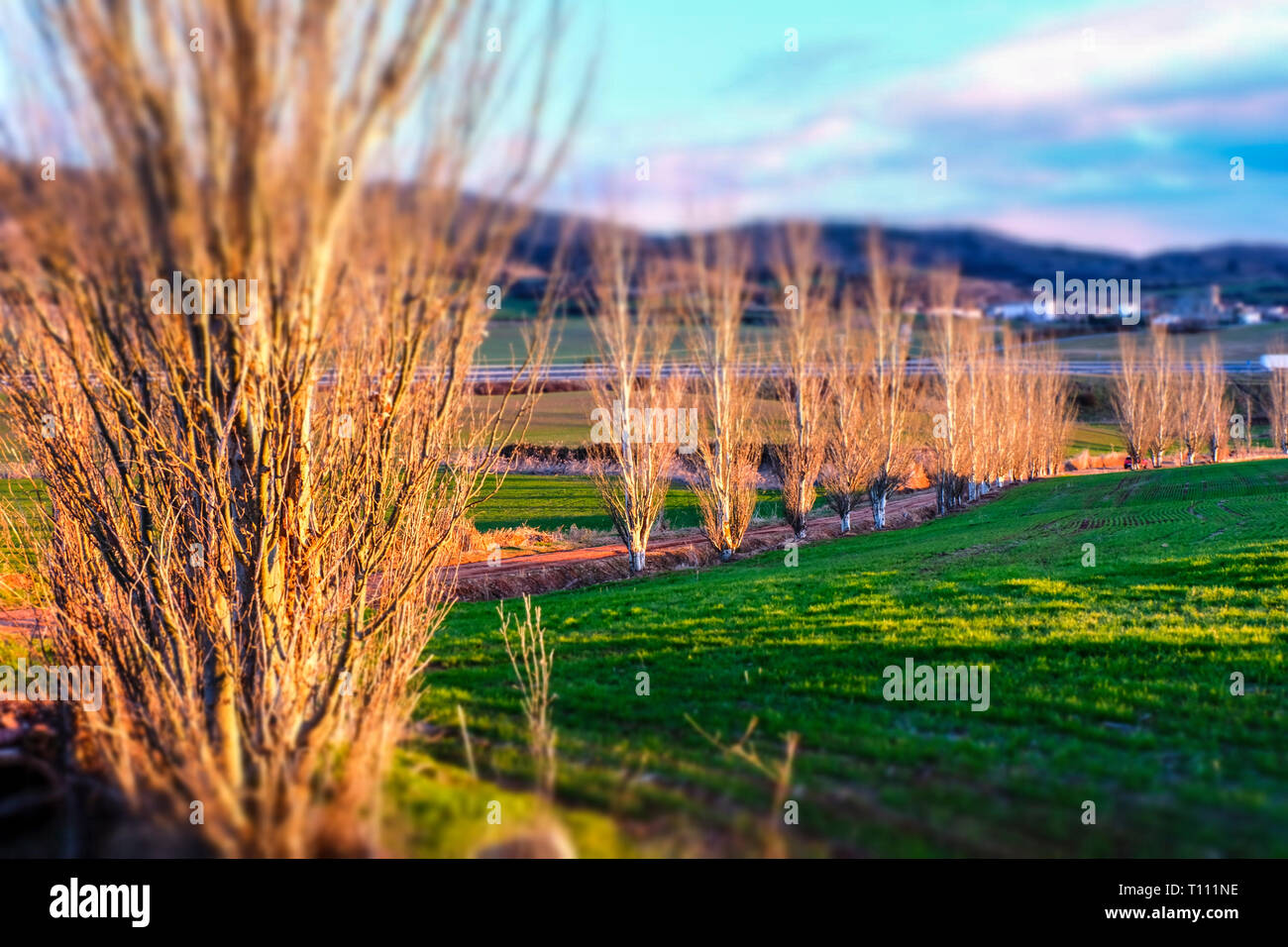 Paesaggio rurale. Foto Stock