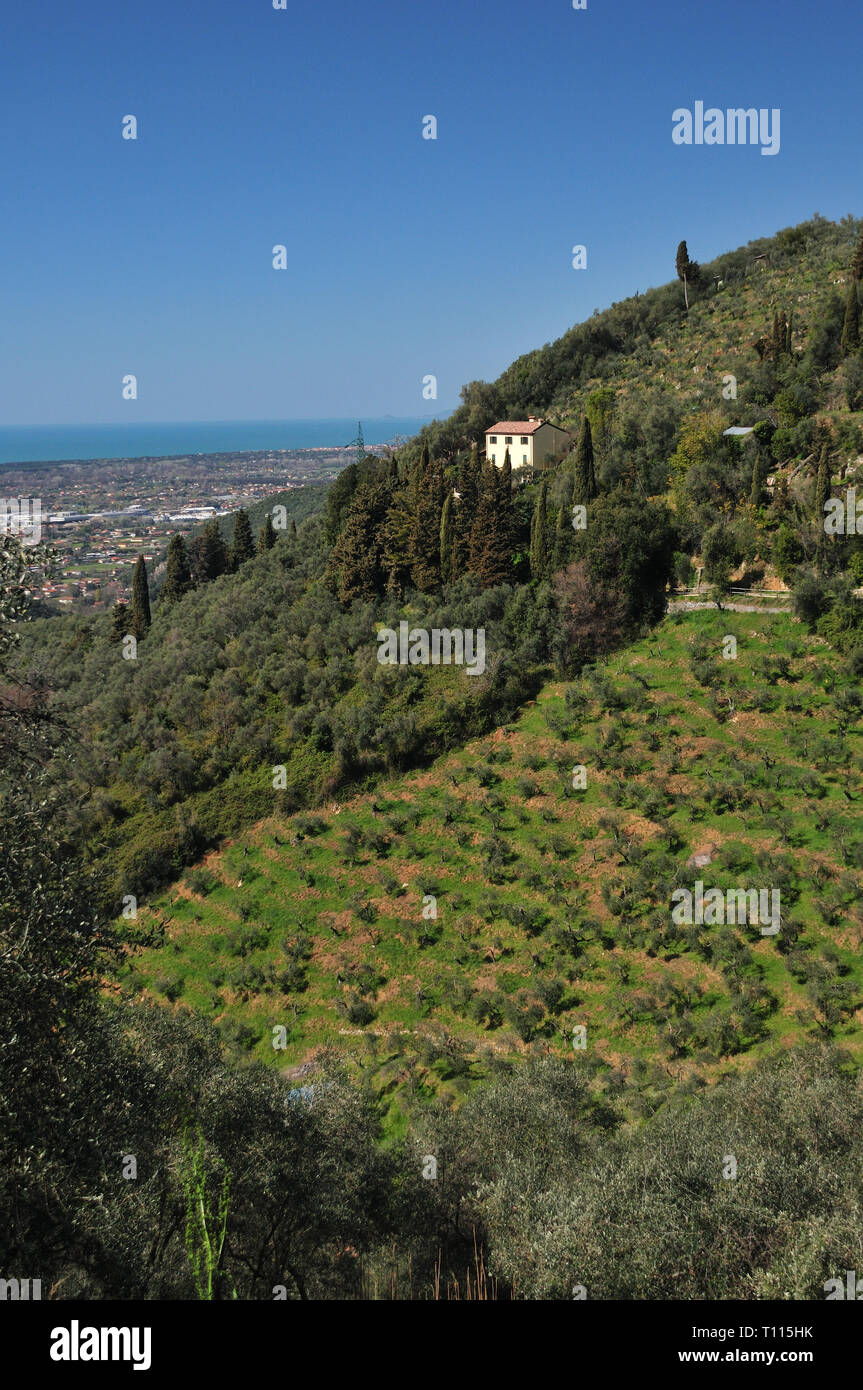 Le colline di Camaiore in Toscana con una vista mozzafiato del mare Tirreno. Foto Stock