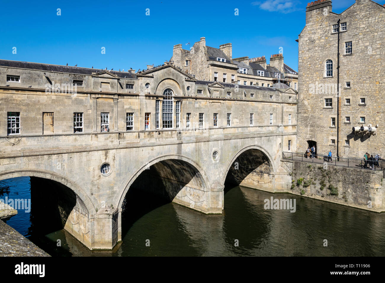 Pulteney Bridge attraverso il fiume Avon in bagno, progettato da Robert Adam in stile palladiano Foto Stock