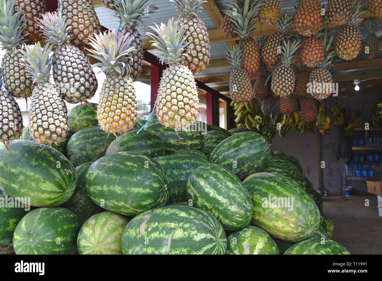 Enormi Cocomeri e ananassi in stallo di frutta Foto Stock