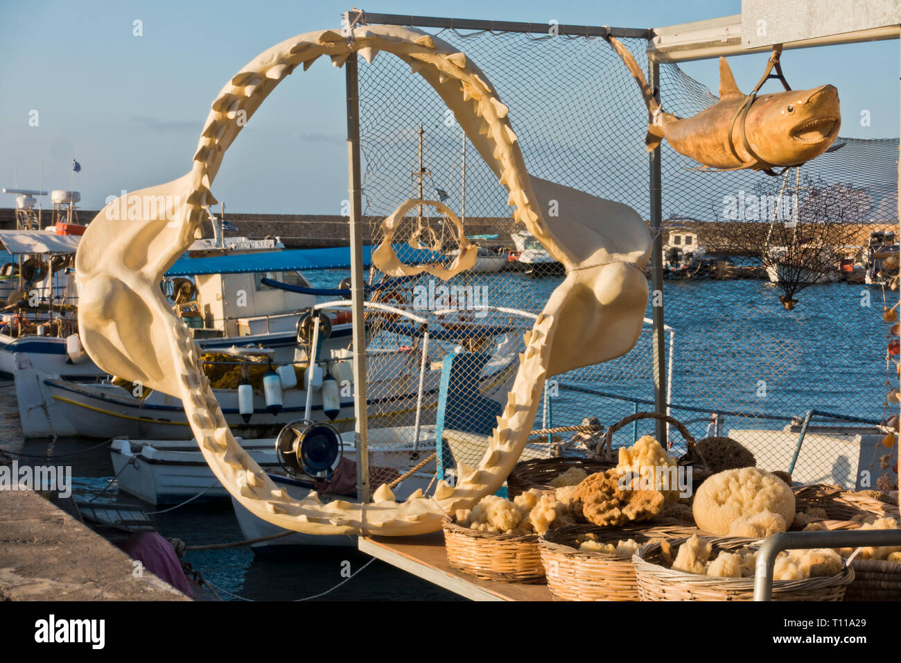 Ganascia di squalo e altri prodotti della pesca e negozio di souvenir al vecchio porto veneziano, città di Chania, Creta, Grecia Foto Stock